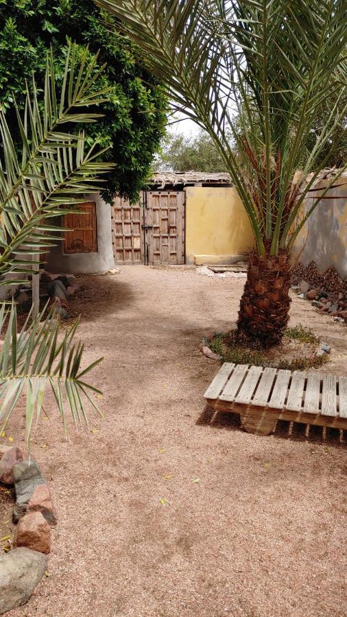 Jillyfish House, Deine Oase In Zwei Palmengarten, Central Am 'Lighthouse' Dahab Exterior foto