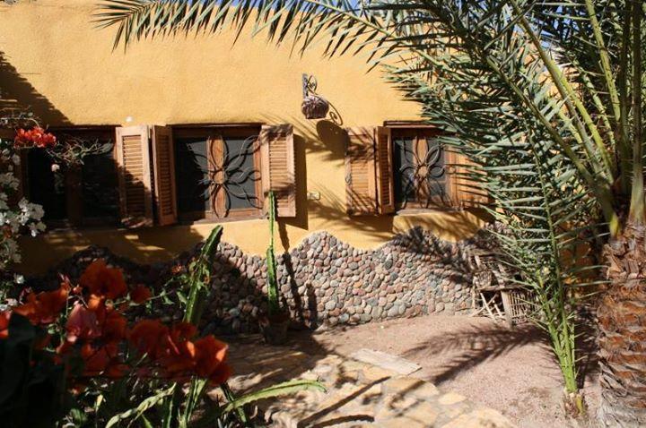 Jillyfish House, Deine Oase In Zwei Palmengarten, Central Am 'Lighthouse' Dahab Exterior foto